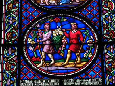 Ely11.jpg