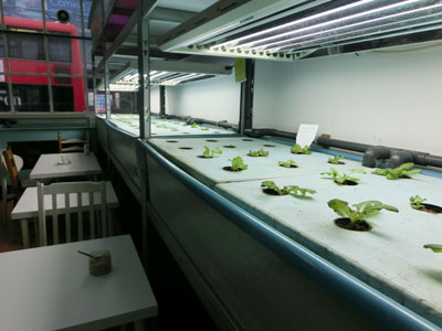 farmshop05.jpg