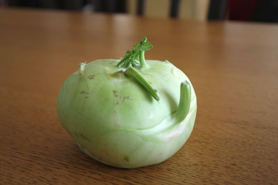 kohlrabi02.jpg