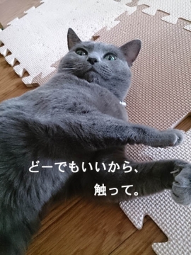 g141113_01.jpg