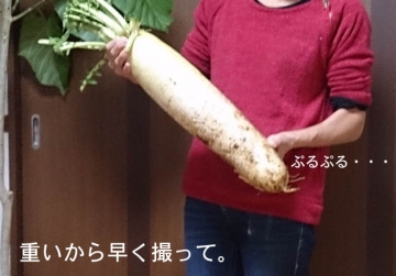 g141128_01.jpg