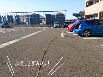 g141208_01.jpg