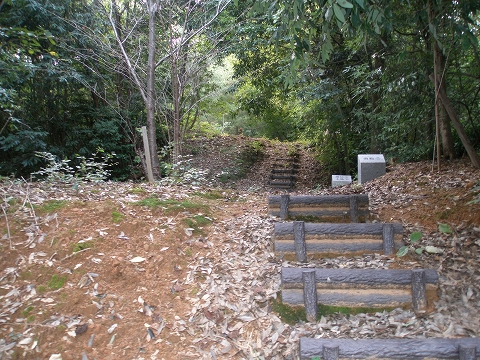ryuukoujizaka 027