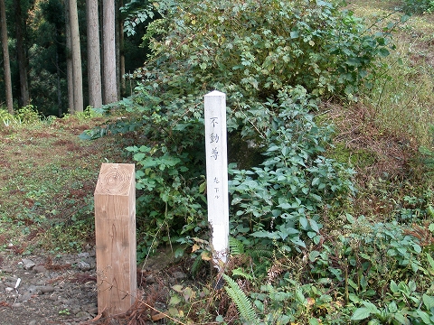 yoshitani 006