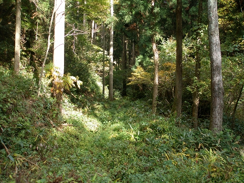 yoshitani 021
