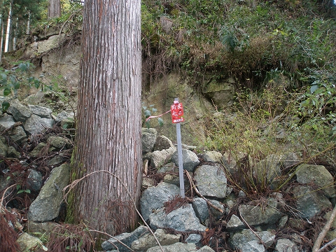 yoshitani 036