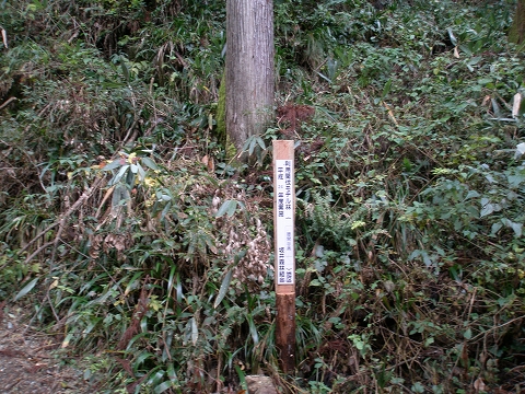 yoshitani 035