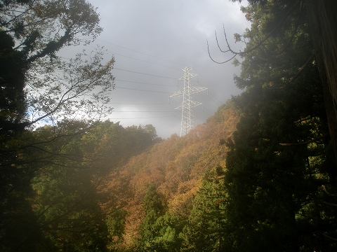 yoshitani 043