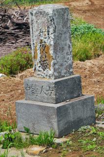 DSCN3720s.jpg