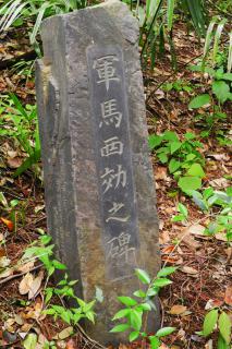 DSCN3873s.jpg