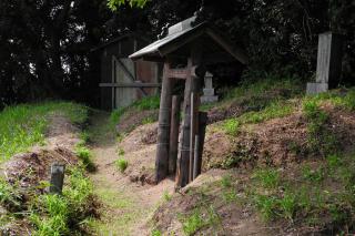 DSCN5109s.jpg