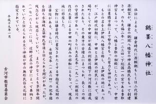 DSCN5451s.jpg