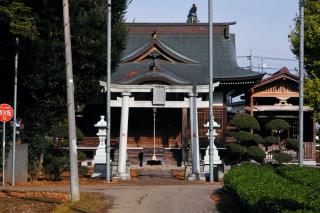 DSCN7240s.jpg