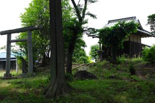 IMGK0459s_20120604195650.jpg