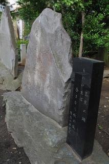IMGK4026s.jpg