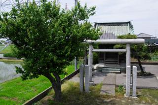 IMGK9951s_20120530011124.jpg