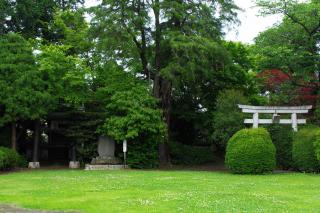 IMGK9999s_20120530233054.jpg