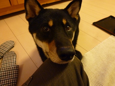 おねだり^^