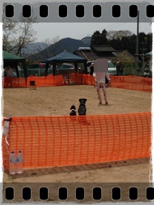 IMG_0958_20130501215340.jpg