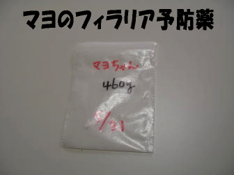 マヨ分