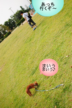 置いてかれてもサラダバー