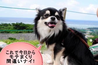 モテ男に?