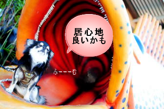 良いかも