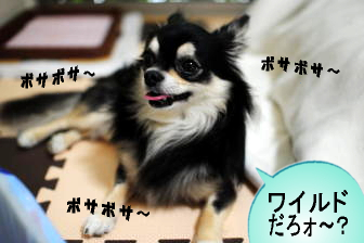 スギちゃん風に
