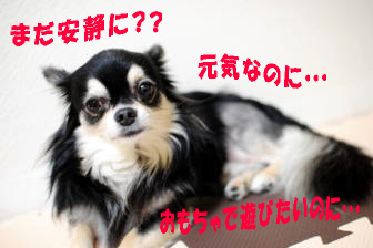 安静生活