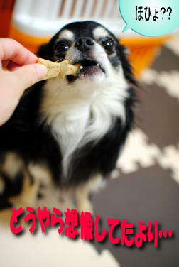 意外と