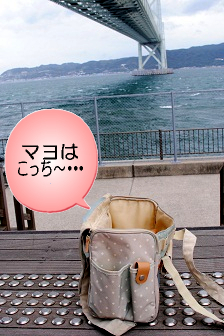 マヨはバッグIN