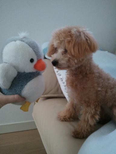 2012-11-24-2.jpg