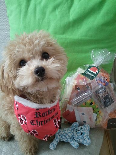 2012-12-24_1.jpg