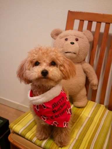 2012-12-27-2.jpg