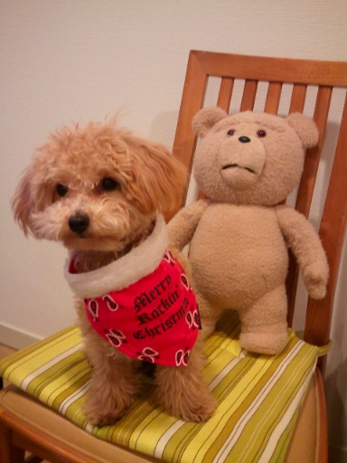 2012-12-27-3.jpg