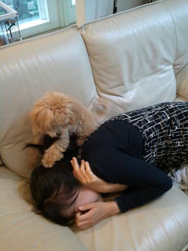 2012_10_13_2.jpg