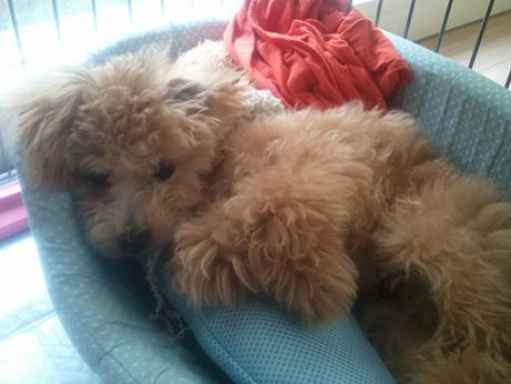 2012_10_18_7.jpg