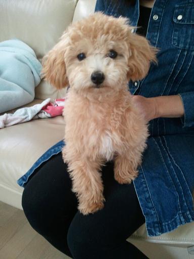 2012_10_20_1.jpg