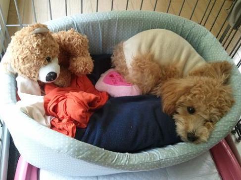 2012_10_22_1.jpg