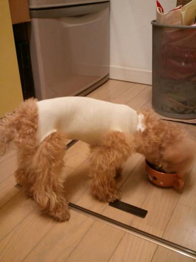 2012_10_23_8.jpg