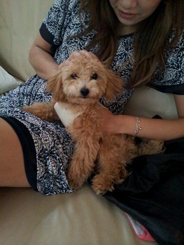 2012_10_26_5.jpg