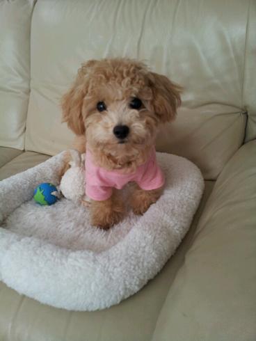 2012_10_30_2.jpg
