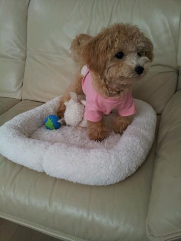 2012_10_30_3.jpg