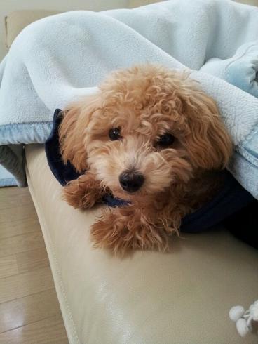 2012_10_30_4.jpg