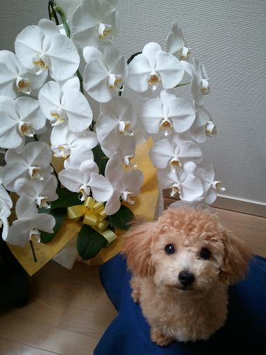 2012_10_7_3.jpg