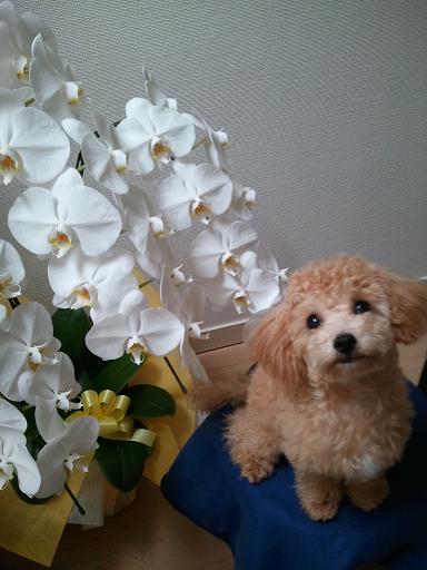 2012_10_7_4.jpg
