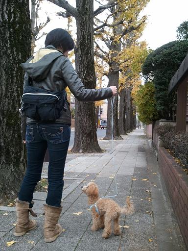 2012_12_15.jpg