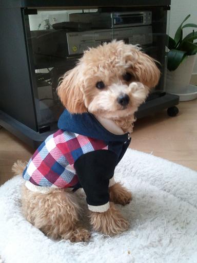 2012_12_15_1.jpg
