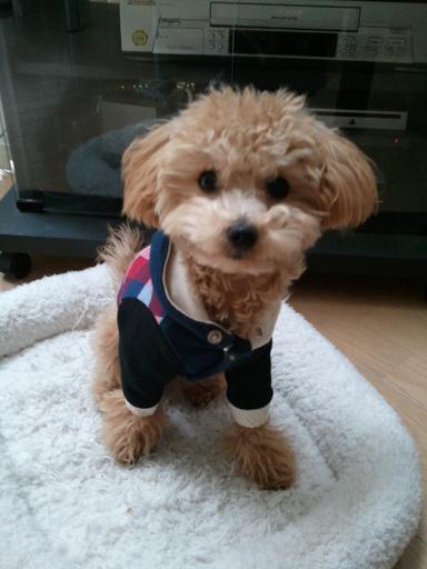2012_12_15_3.jpg
