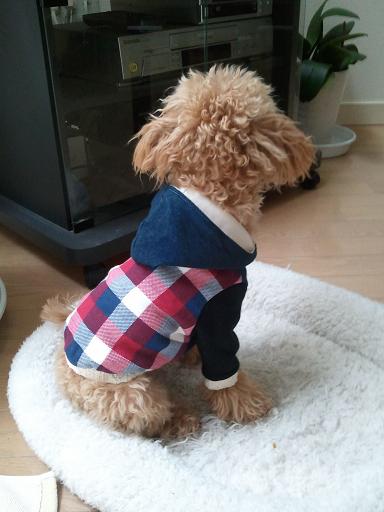 2012_12_15_5.jpg